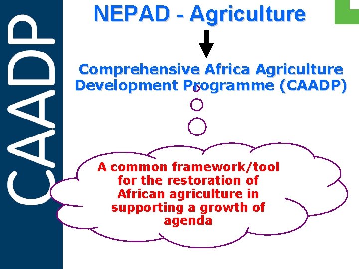 NEPAD - Agriculture Comprehensive Africa Agriculture Development Programme (CAADP) A common framework/tool for the