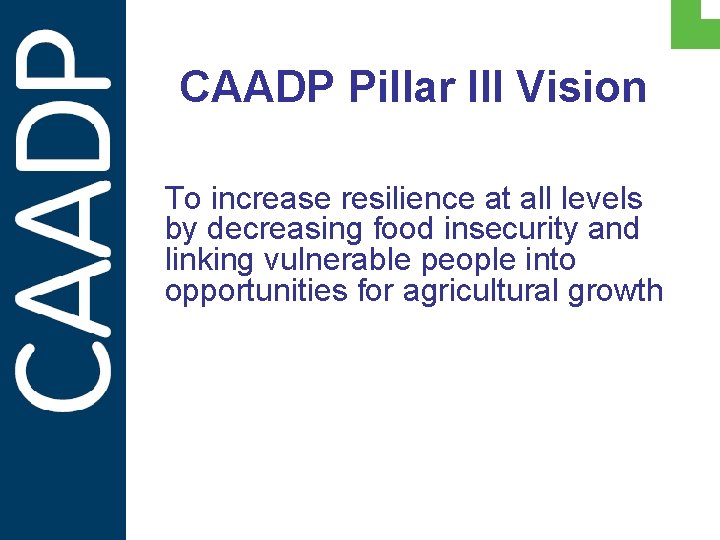 CAADP Pillar III Vision To increase resilience at all levels by decreasing food insecurity