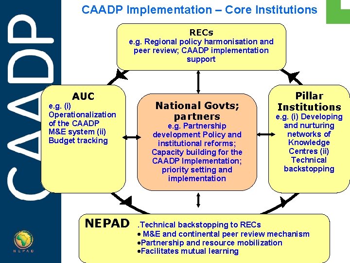 CAADP Implementation – Core Institutions RECs e. g. Regional policy harmonisation and peer review;