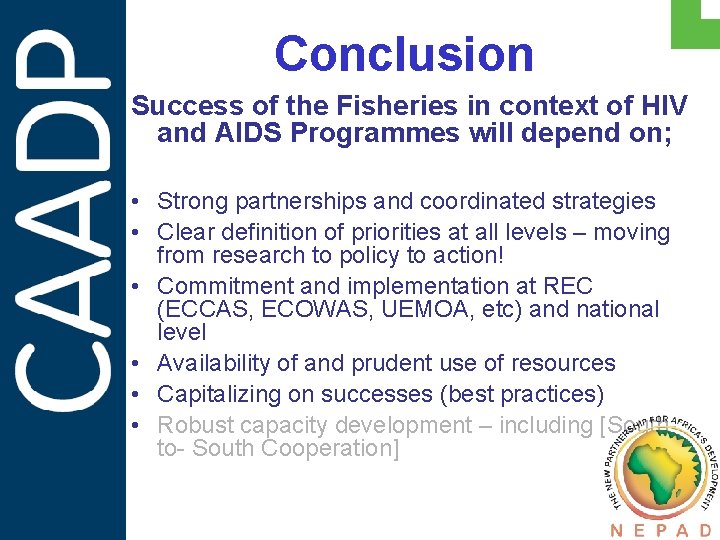 Conclusion Success of the Fisheries in context of HIV and AIDS Programmes will depend
