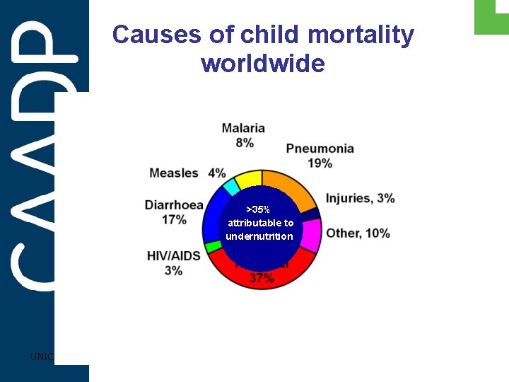 Causes of child mortality worldwide >35% attributable to undernutrition UNICEF PARTNERSHIPS IN SUPPORT OF