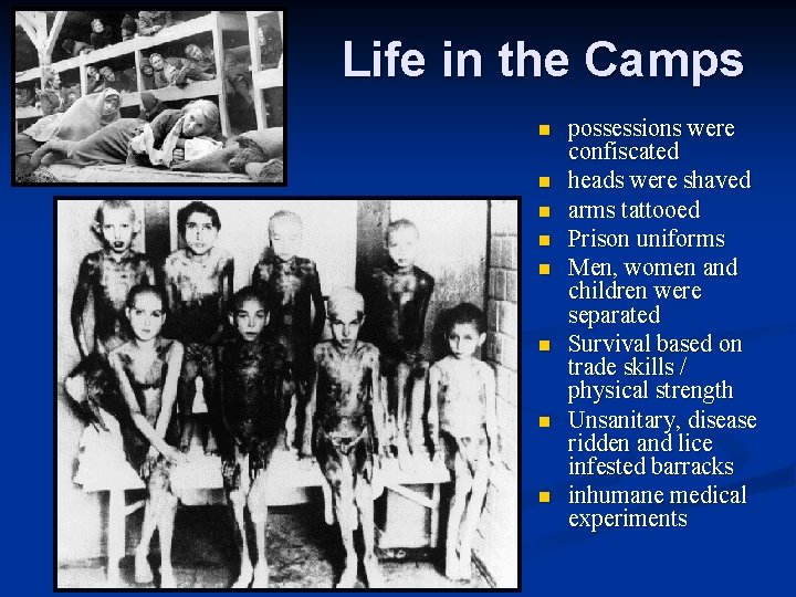 Life in the Camps n n n n possessions were confiscated heads were shaved
