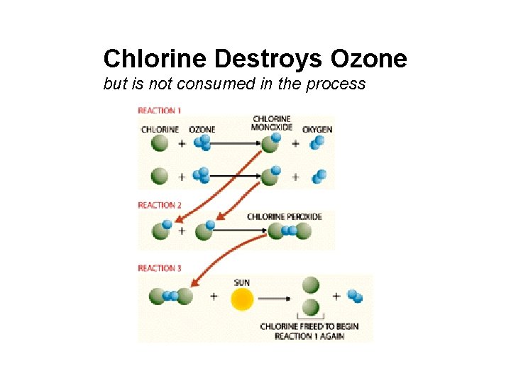 Chlorine Destroys Ozone but is not consumed in the process 