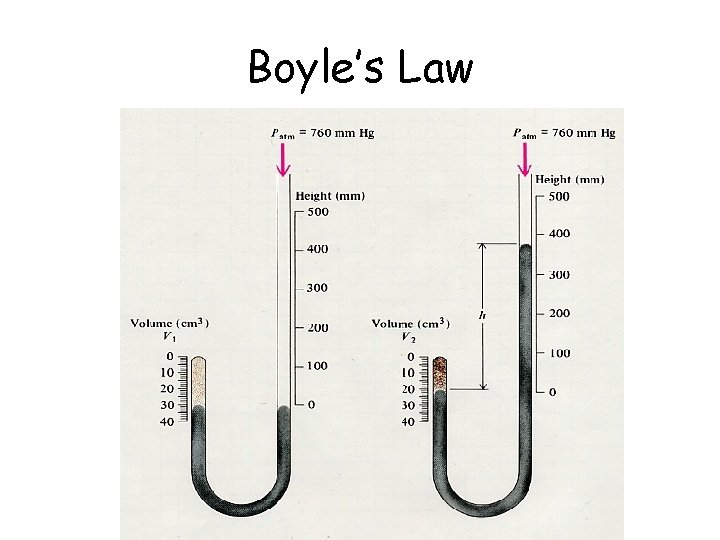 Boyle’s Law Boyle’s Law