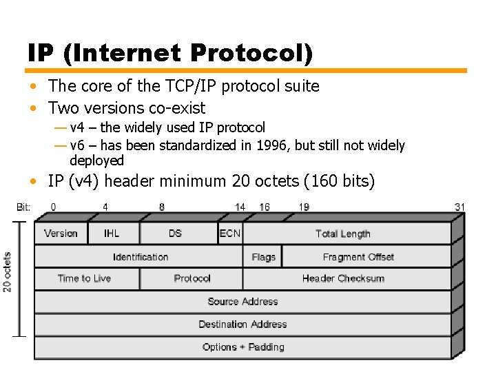 IP (Internet Protocol) • The core of the TCP/IP protocol suite • Two versions