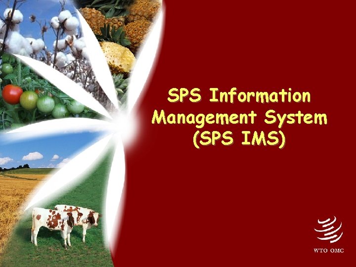 SPS Information Management System (SPS IMS) 