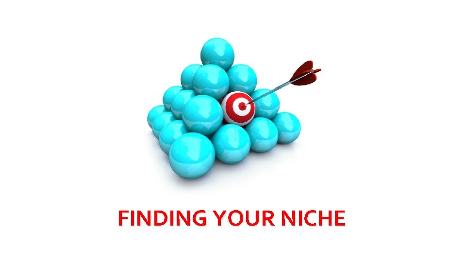 FINDING YOUR NICHE 