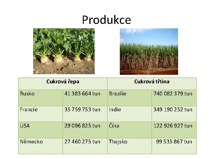 Produkce Cukrová řepa Cukrová třtina Rusko 41 383 664 tun Brazílie 740 082 379