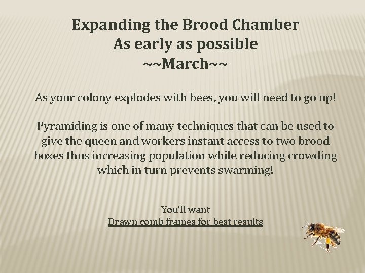 Expanding the Brood Chamber As early as possible ~~March~~ As your colony explodes with