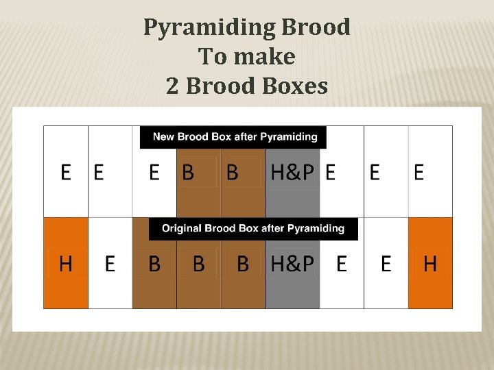 Pyramiding Brood To make 2 Brood Boxes 