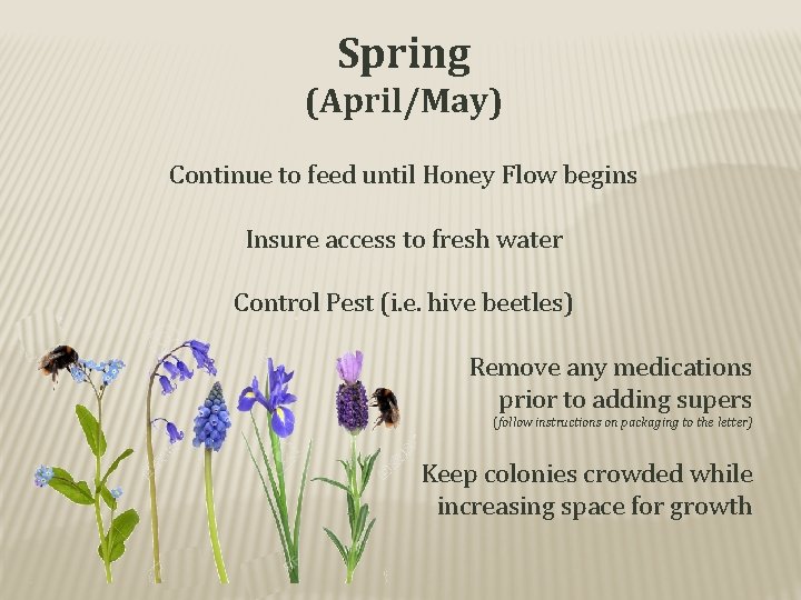 Spring (April/May) Continue to feed until Honey Flow begins Insure access to fresh water