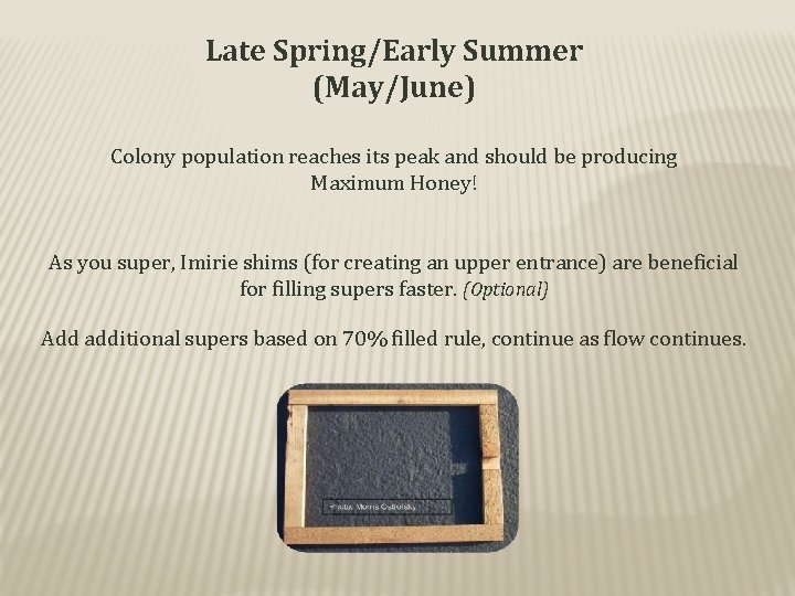 Late Spring/Early Summer (May/June) Colony population reaches its peak and should be producing Maximum