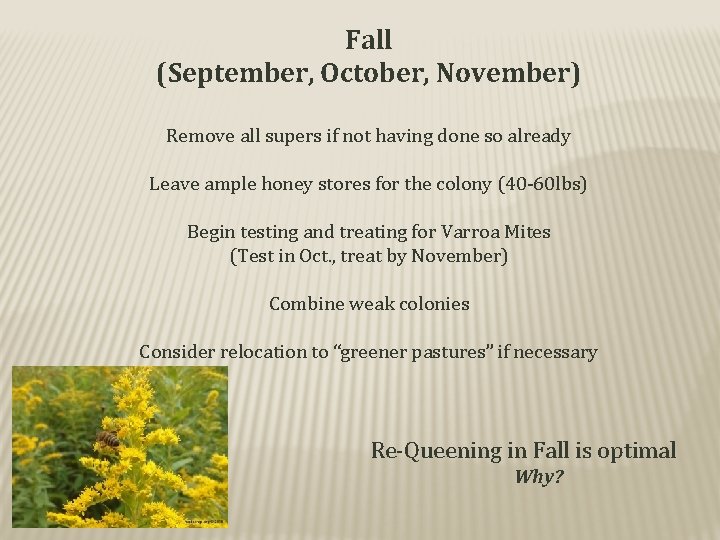 Fall (September, October, November) Remove all supers if not having done so already Leave