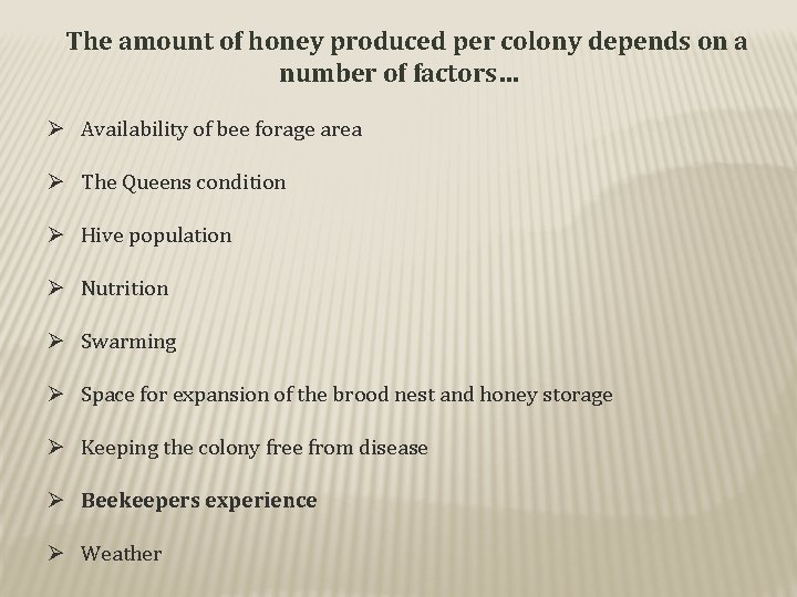 The amount of honey produced per colony depends on a number of factors… Ø