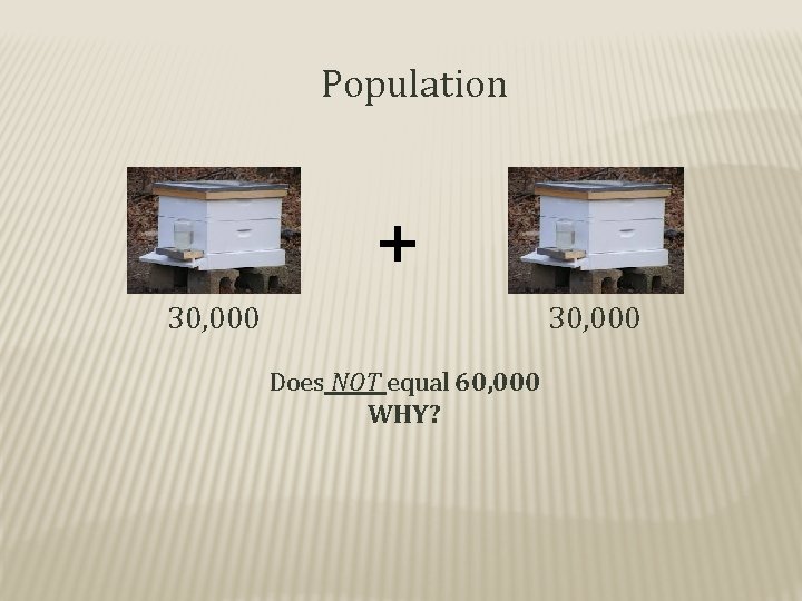Population + 30, 000 Does NOT equal 60, 000 WHY? 