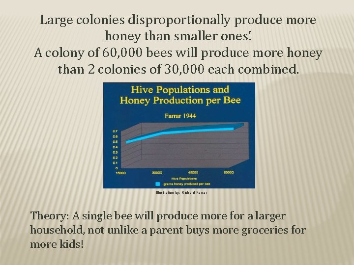 Large colonies disproportionally produce more honey than smaller ones! A colony of 60, 000
