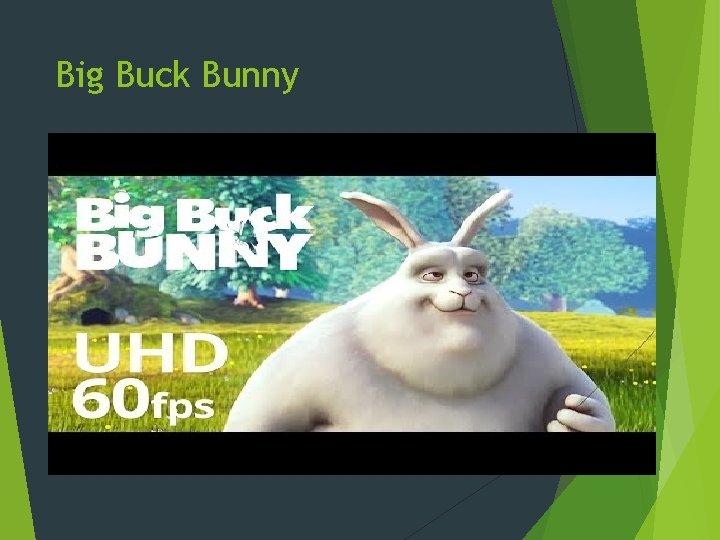 Big Buck Bunny Big Buck Bunny