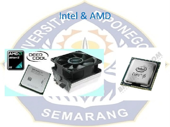 Intel & AMD Intel & AMD