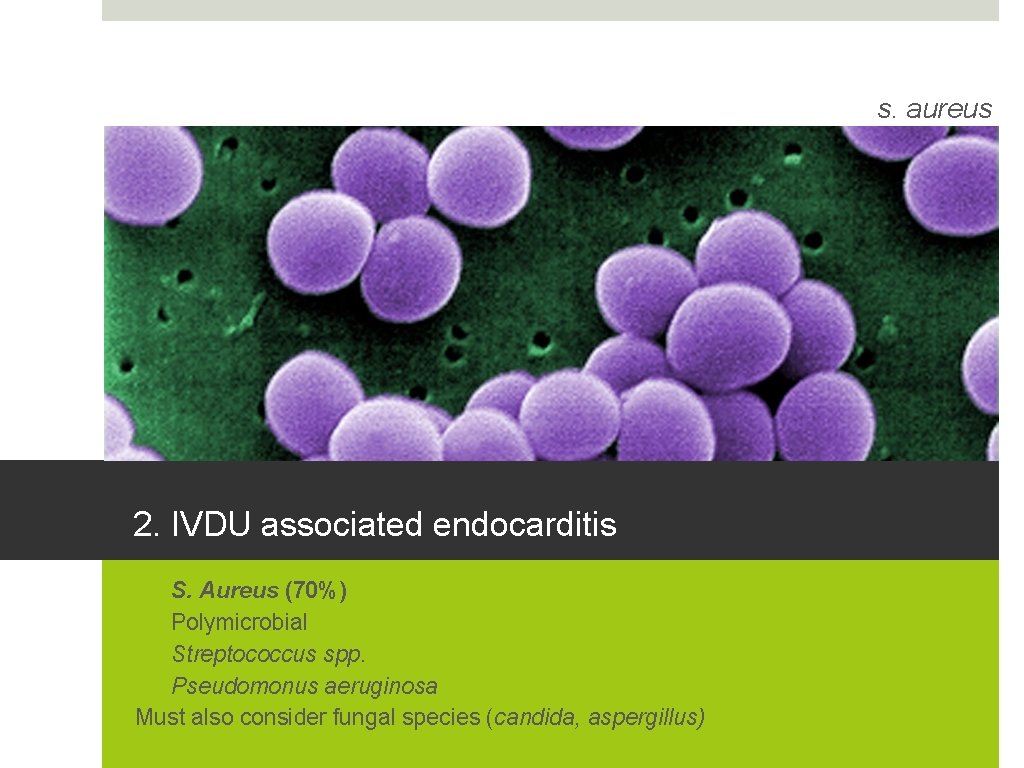 s. aureus 2. IVDU associated endocarditis 1. S. Aureus (70%) 2. Polymicrobial 3. Streptococcus