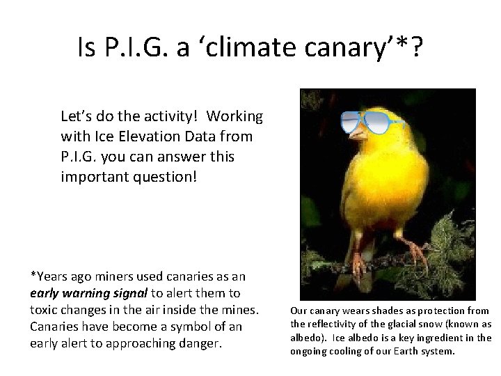 Is P. I. G. a ‘climate canary’*? Let’s do the activity! Working with Ice