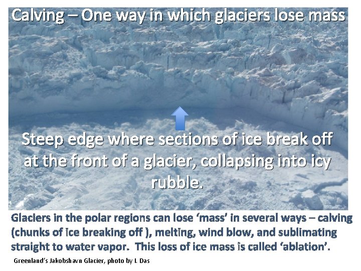 Calving – One way in which glaciers lose mass Steep edge where sections of