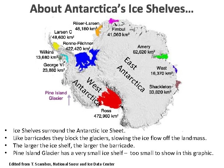 About Antarctica’s Ice Shelves… Ea An We ta st rc tic a • •