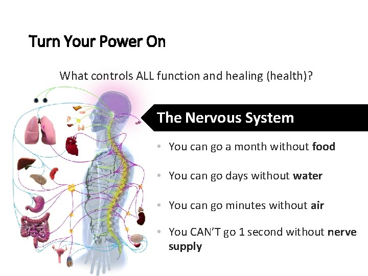 Turn Your Power On What controls ALL function and healing (health)? The Nervous System