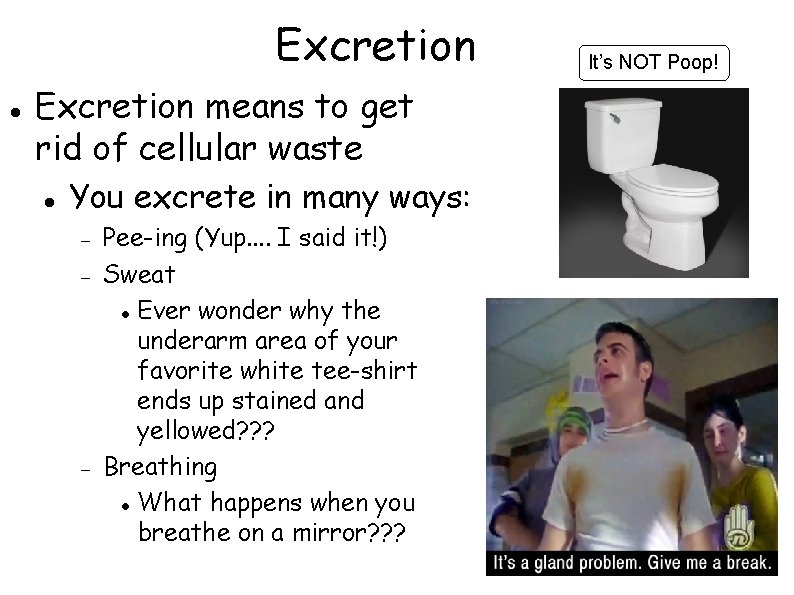 Excretion means to get rid of cellular waste You excrete in many ways: Pee-ing