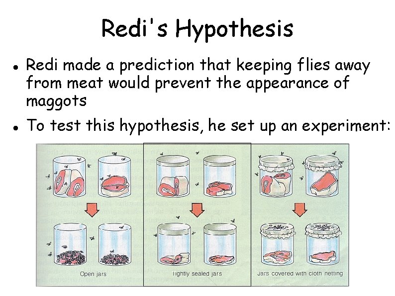 Redi's Hypothesis Redi made a prediction that keeping flies away from meat would prevent Redi's Hypothesis Redi made a prediction that keeping flies away from meat would prevent