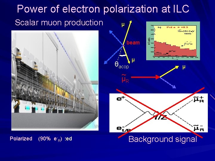 Power of electron polarization at ILC Scalar muon production μ beam θacop μ μ