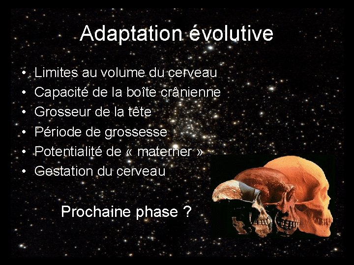 Adaptation évolutive • • • Limites au volume du cerveau Capacité de la boîte