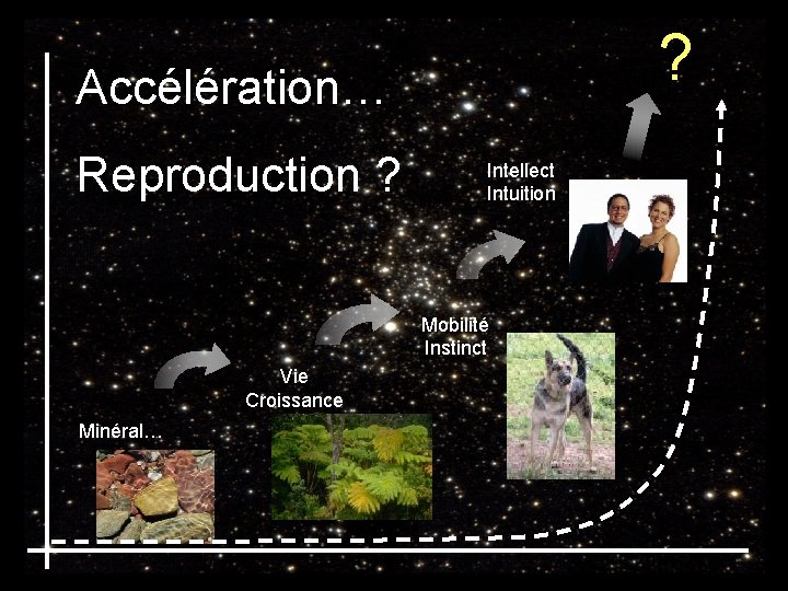 ? Accélération… Reproduction ? Intellect Intuition Mobilité Instinct Vie Croissance Minéral… 