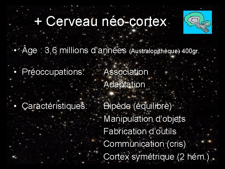 + Cerveau néo-cortex • ge : 3, 6 millions d’années (Australopithèque) 400 gr. •