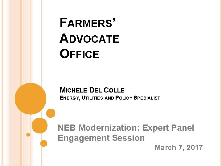 FARMERS’ ADVOCATE OFFICE MICHELE DEL COLLE ENERGY, UTILITIES AND POLICY SPECIALIST NEB Modernization: Expert