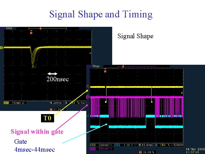 Signal Shape and Timing Signal Shape 200 nsec T 0 Signal within gate Gate