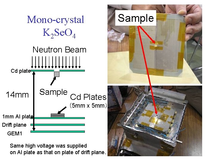 Mono-crystal　 K 2 Se. O 4 Neutron Beam Cd plate 14 mm Sample Cd