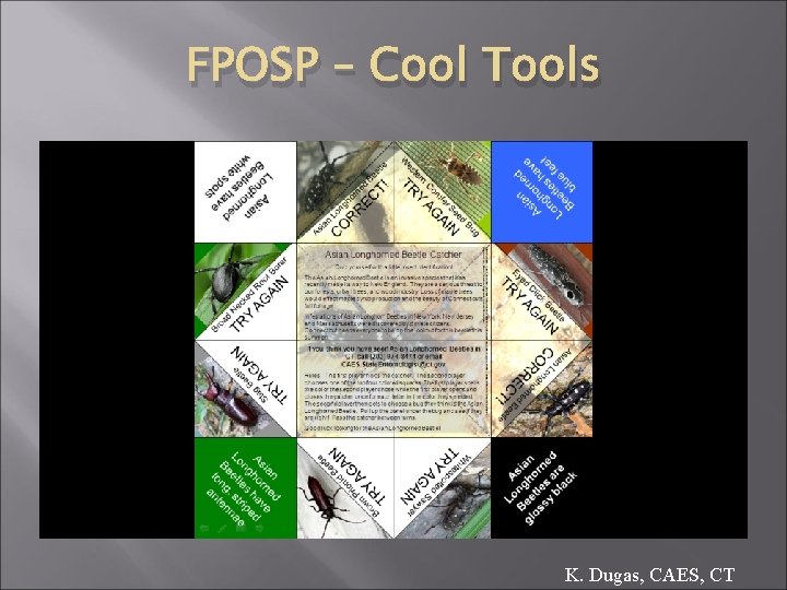 FPOSP – Cool Tools K. Dugas, CAES, CT 