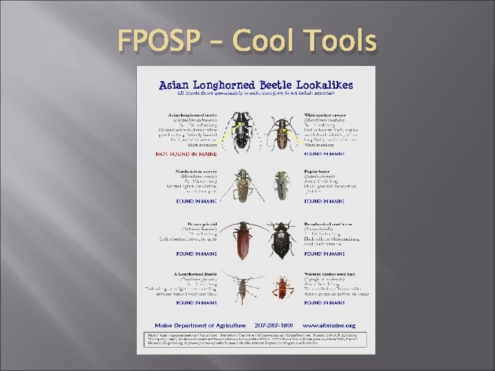 FPOSP – Cool Tools 