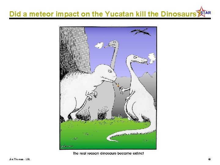 Did a meteor impact on the Yucatan kill the Dinosaurs? Jim Thomas - LBL