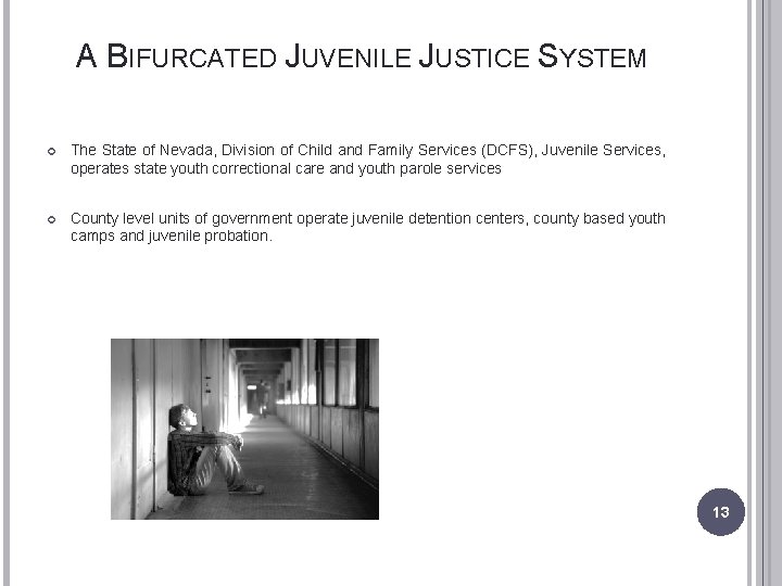 A BIFURCATED JUVENILE JUSTICE SYSTEM The State of Nevada, Division of Child and Family