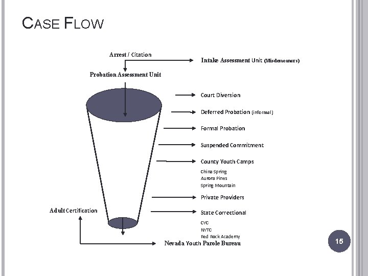 CASE FLOW Arrest / Citation Intake Assessment Unit (Misdemeanors) Probation Assessment Unit Court Diversion