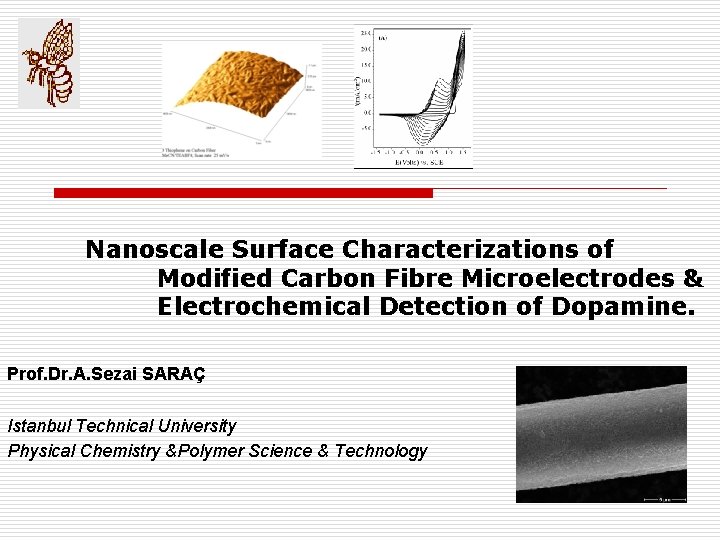 Nanoscale Surface Characterizations of Modified Carbon Fibre Microelectrodes & Electrochemical Detection of Dopamine. Prof.