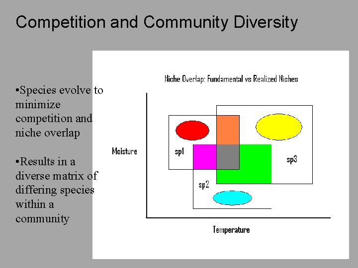 Competition and Community Diversity • Species evolve to minimize competition and niche overlap •