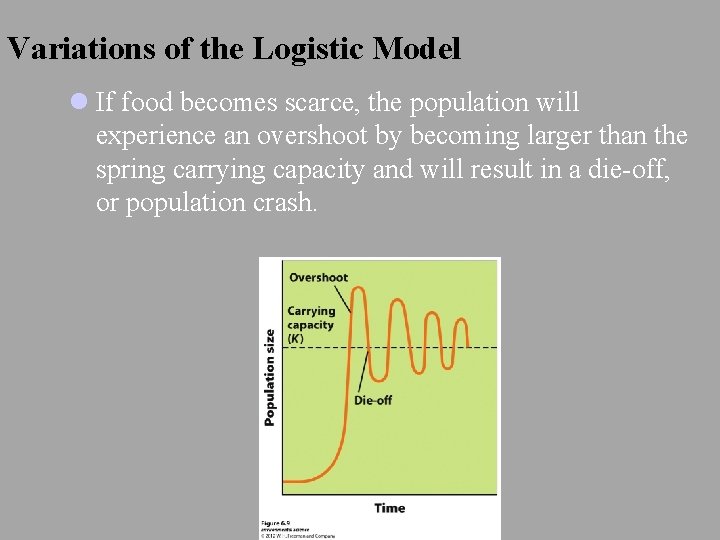 Variations of the Logistic Model l If food becomes scarce, the population will experience