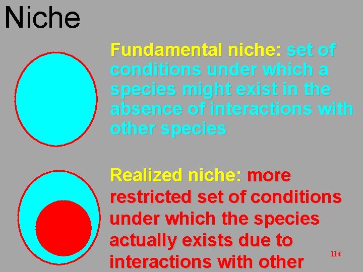 Niche Fundamental niche: set of conditions under which a species might exist in the