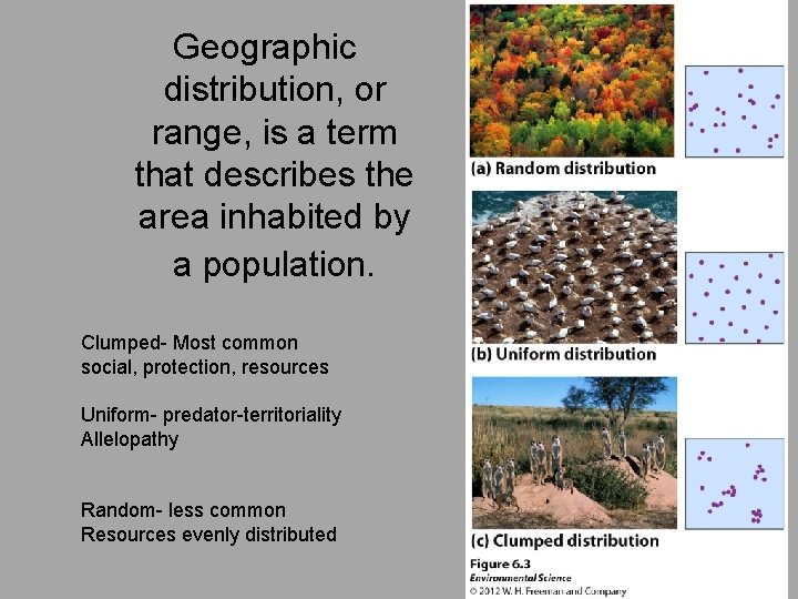 Geographic distribution, or range, is a term that describes the area inhabited by a