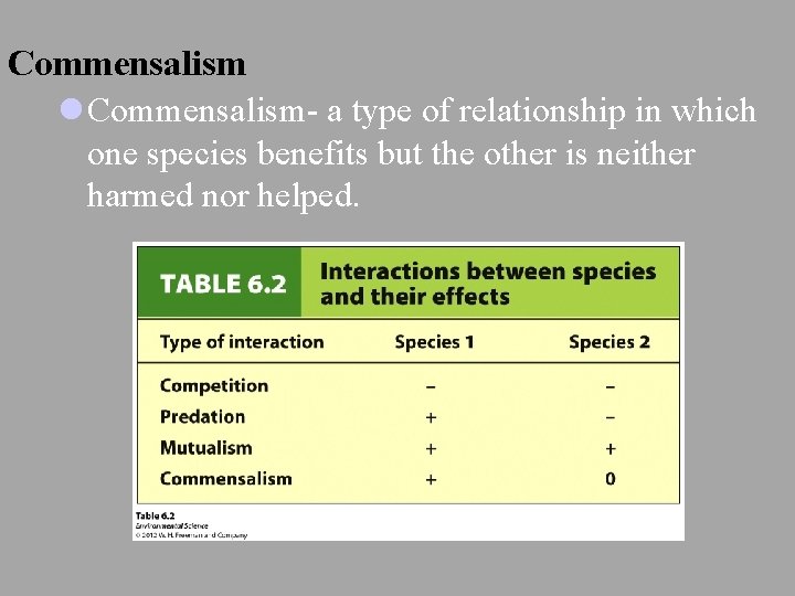 Commensalism l Commensalism- a type of relationship in which one species benefits but the