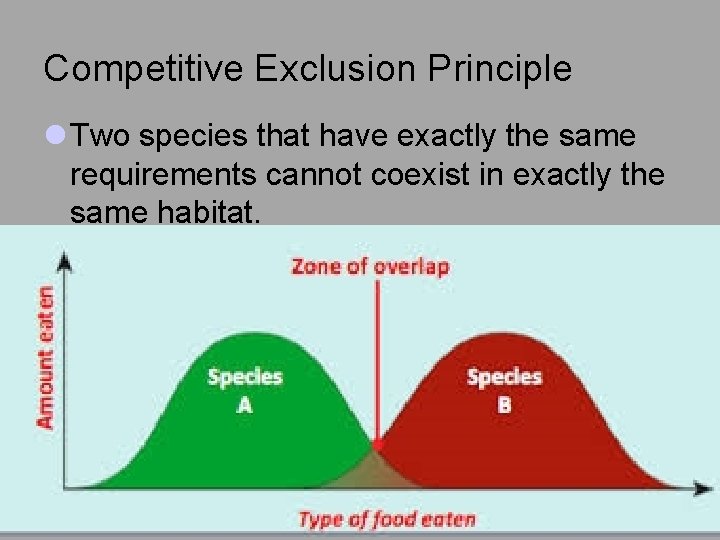 Competitive Exclusion Principle l Two species that have exactly the same requirements cannot coexist