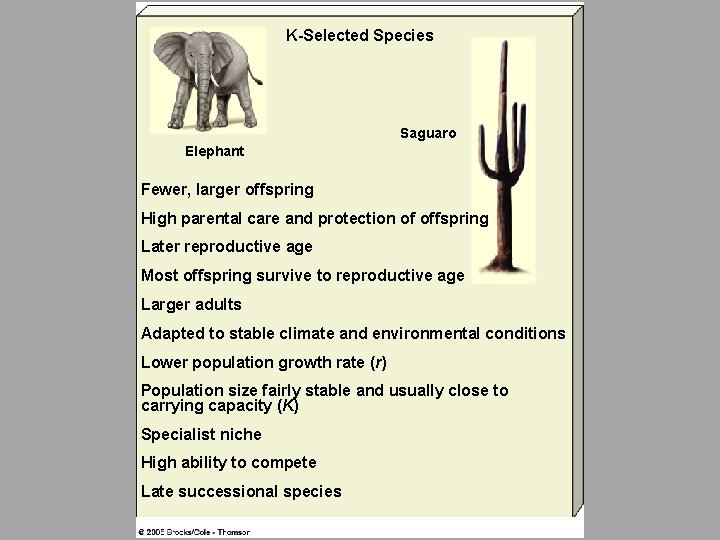 K-Selected Species Saguaro Elephant Fewer, larger offspring High parental care and protection of offspring