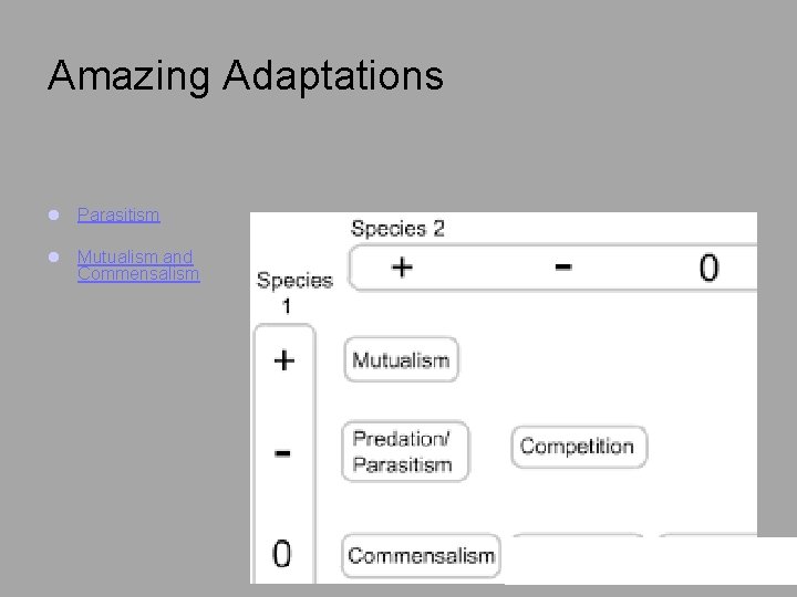 Amazing Adaptations l Parasitism l Mutualism and Commensalism 